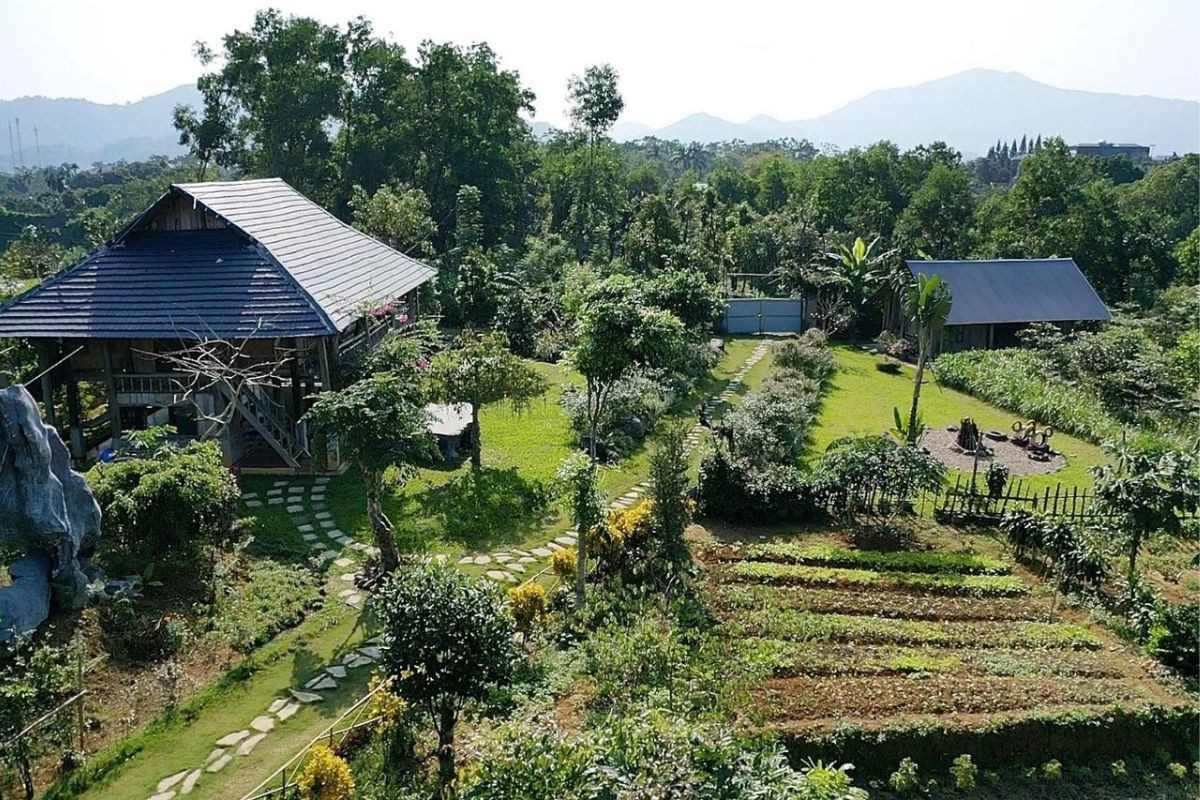 Khu homestay với sân vườn rộng mát